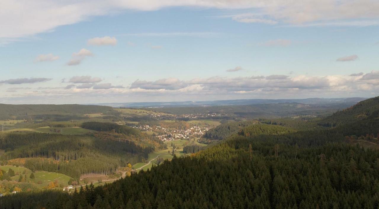 Urseetalblick Wg 7 Leilighet Lenzkirch Eksteriør bilde